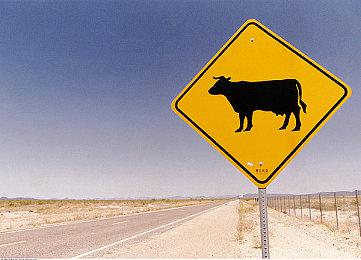 《魔戒：咕噜》道歉信为AI代写 开发商并不知情